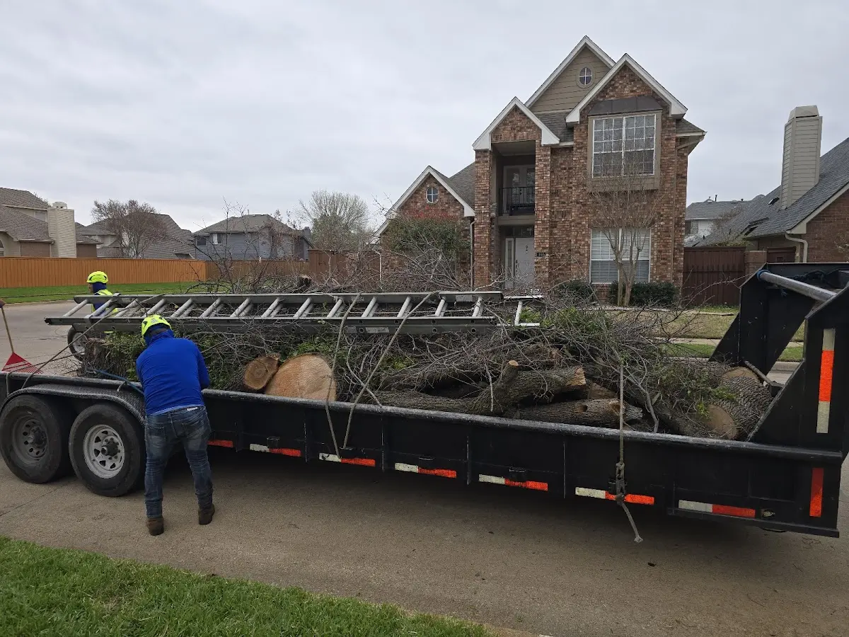 Expert Tree Removal with proper safety equipment in Hillsville